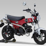 YAT DAX 125 2023-25 RACE GP-MAGNUM HIGH PIPE STAINLESS w/ STAINLESS MUFFLER