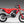 CRF450L / RL 19-25 V2 Fender Eliminator Kit