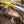DR-Z4 S/SM 2025 Race RS-12 Stainless Full Exhaust, w/ Stainless Muffler