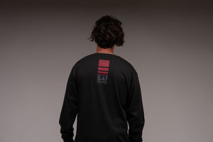 Racing Stripe Long Sleeve Tee Coal