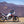 Africa Twin 20-25 RS-12 Stainless Slip-On Exhaust, w/ Stainless Muffler