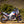 Africa Twin 20-25 RS-12 Stainless Slip-On Exhaust, w/ Stainless Muffler