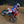 CRF450R/RX 2021-2024 RS-12 Titanium Full Exhaust, w/ Titanium Muffler