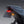 Micro Turn Signal