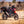 Africa Twin 20-25 RS-12 Stainless Slip-On Exhaust, w/ Stainless Muffler