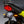 Honda Navi 22-24 Fender Eliminator Kit