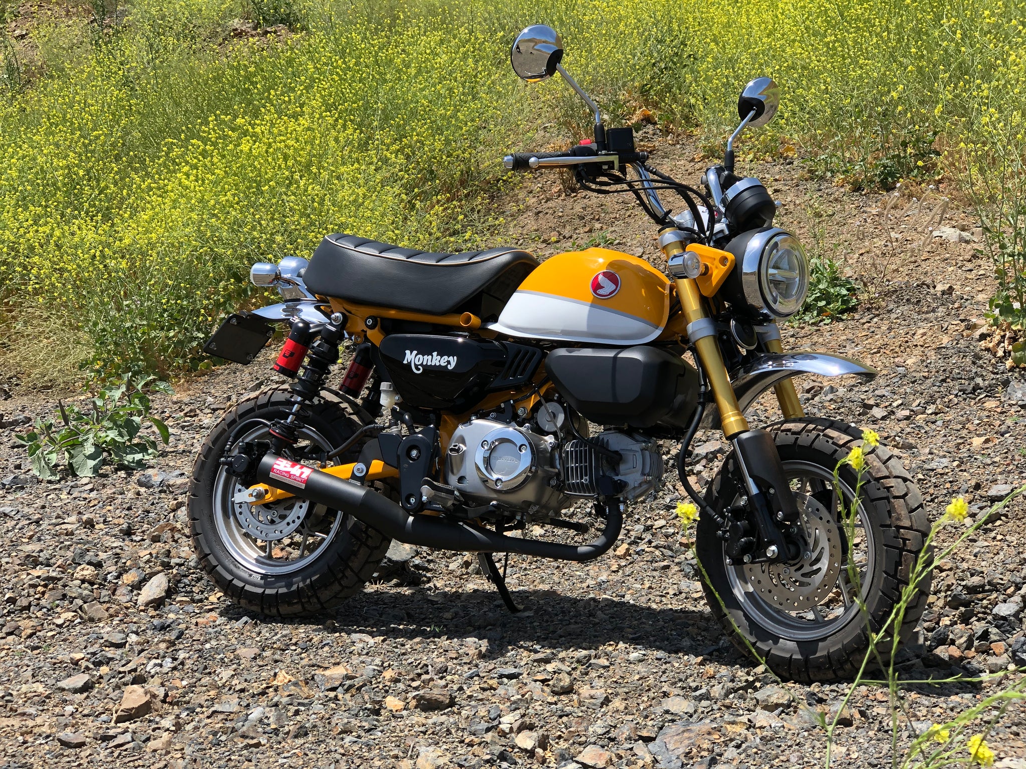 Yoshimura exhaust honda monkey cheap