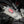 FZ-S 2.0 16 Race TRS Stainless Full Exhaust, w/ Stainless Muffler