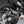 NINJA 1000SX 20-24 ALPHA Stainless Slip-On Exhaust, w/ Carbon Fiber Muffler